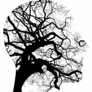 Basisüberwachung Neurologie