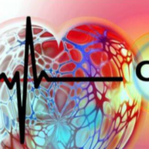 Basisüberwachung Kardiologie
